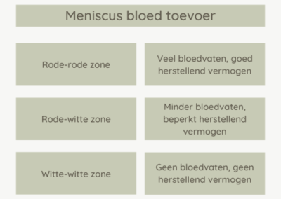 Meniscus bloed toevoer Vief Leven Tilburg bij artrose